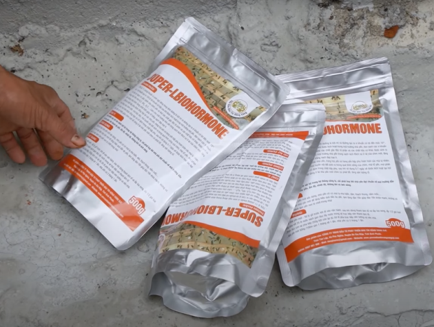 Giải pháp cho nhà yến thất bại tại Việt Nam hiện nay